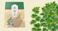 【行業(yè)資訊】國(guó)內(nèi)首部艾草專著《南陽艾》，在南陽新書首發(fā)！